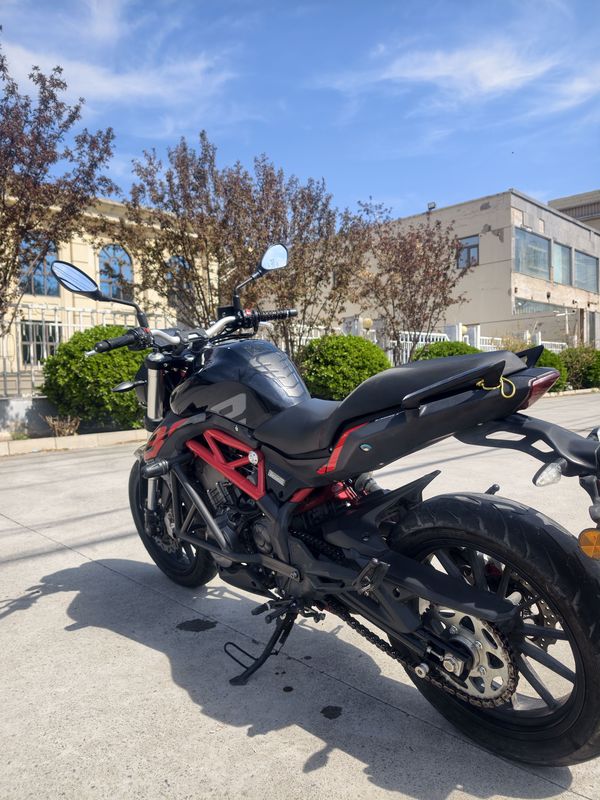 二手贝纳利蓝宝龙 BN302S