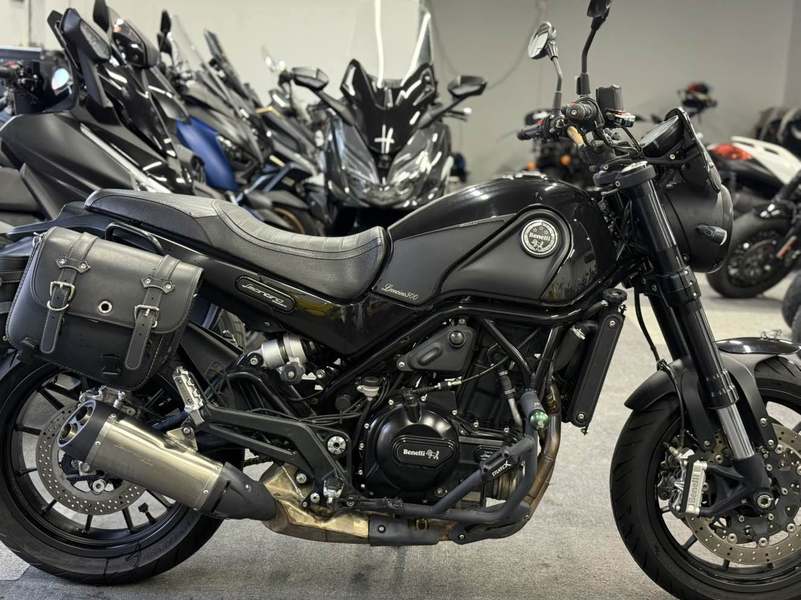 二手贝纳利幼狮 Leoncino 500