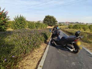 二手新大洲本田NS150GX