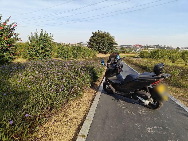 二手新大洲本田NS150GX