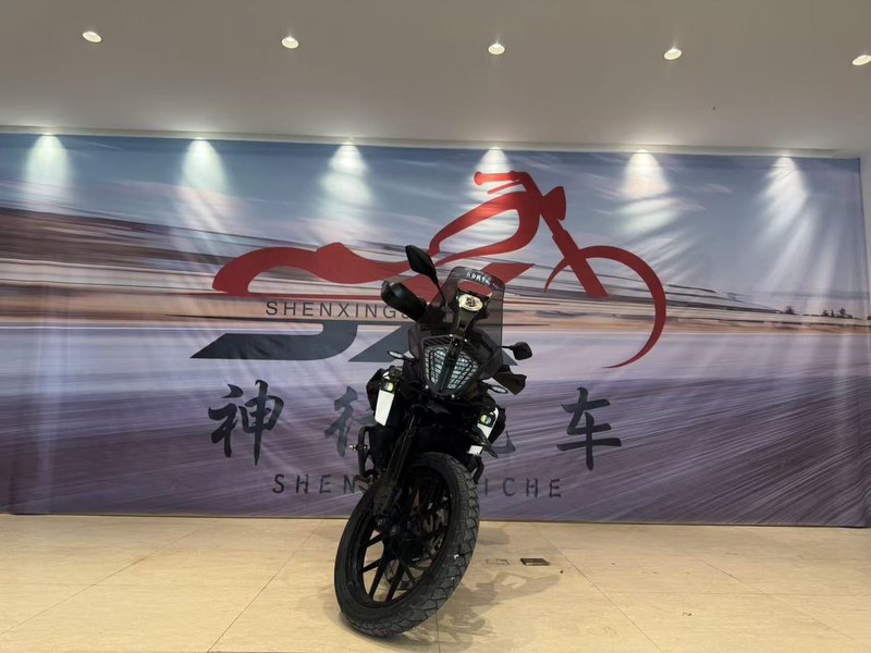二手KTMR2R390 Adventure