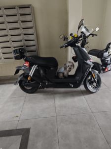 二手九号M3