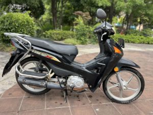 二手新大洲本田新威武SDH110-19