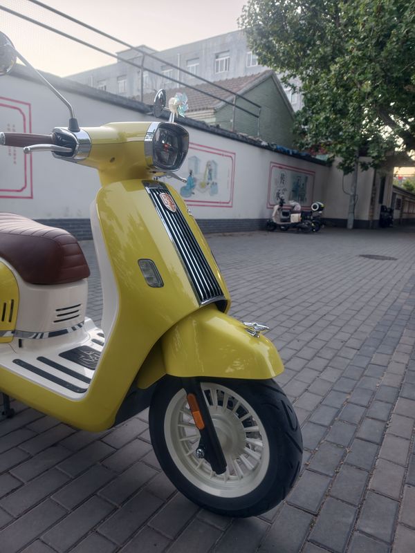 二手ROYAL ALLOYGT150