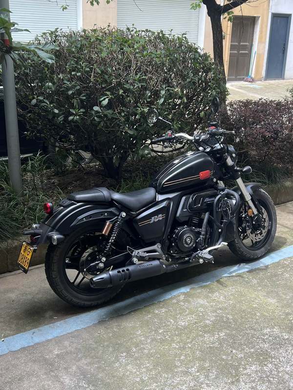 二手赛科龙RA401