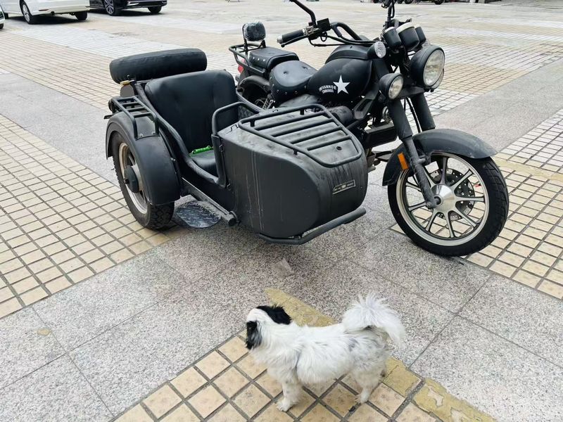 二手海陵HL250B-2D