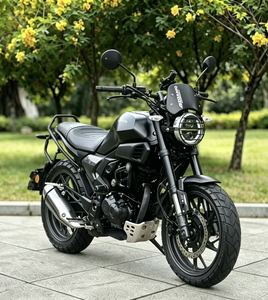 二手新大洲本田CBF190TR