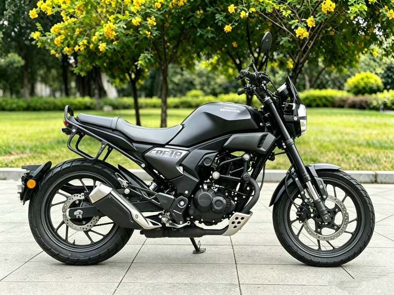二手新大洲本田CBF190TR