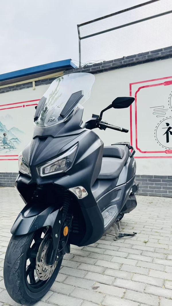 二手三阳Joymax Z 300