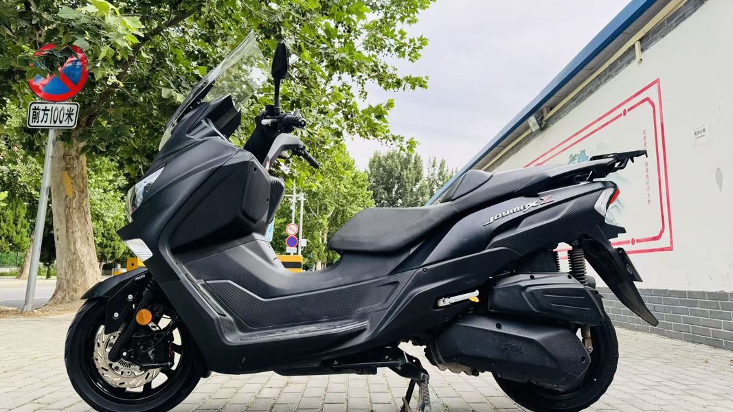 二手三阳Joymax Z 300