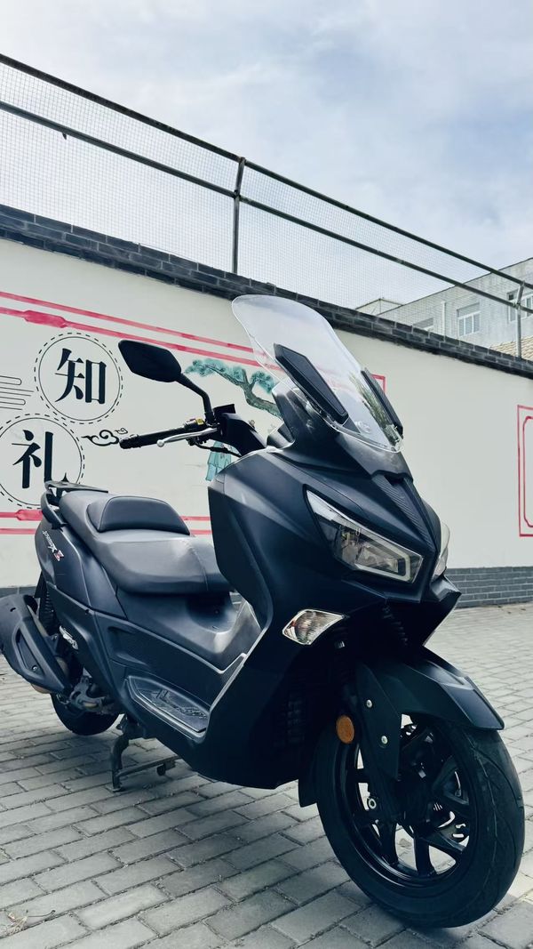 二手三阳Joymax Z 300