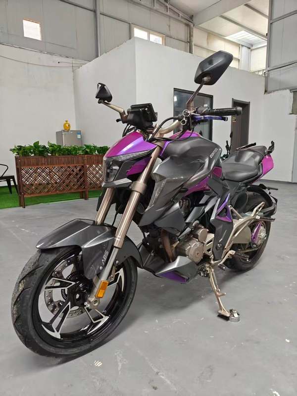二手升仕310R