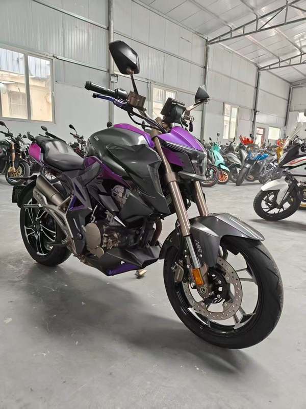 二手升仕310R