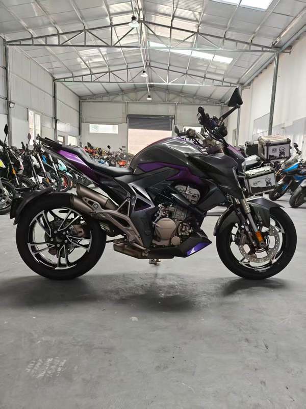 二手升仕310R