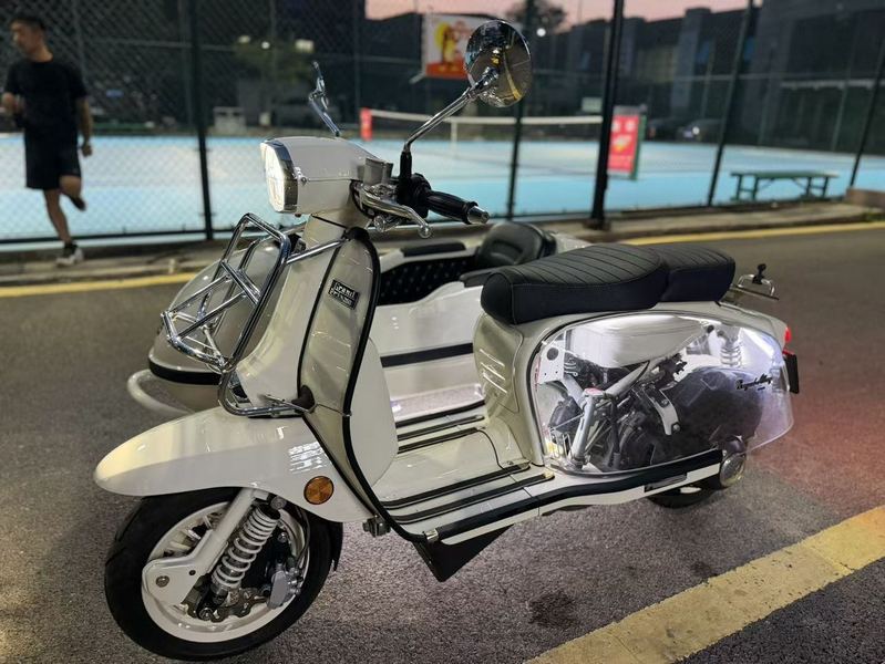 二手ROYAL ALLOYGP250 Sidecar