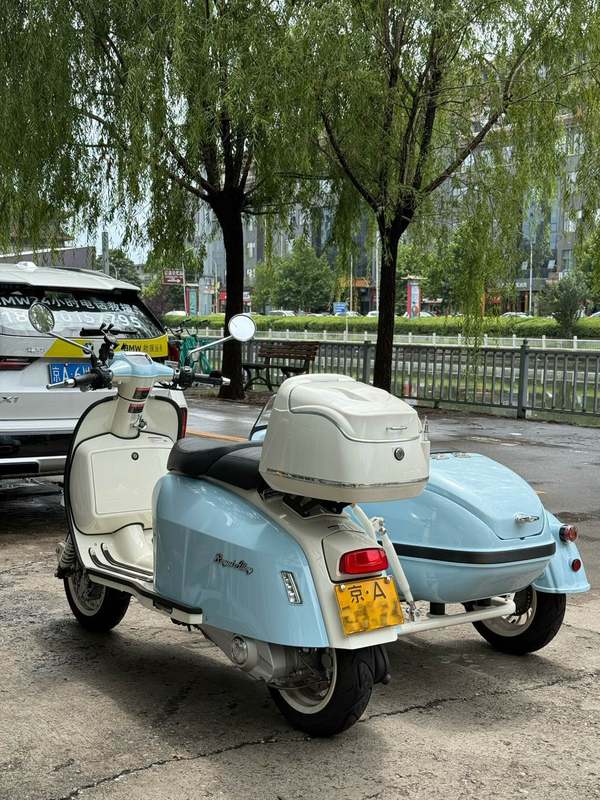 二手ROYAL ALLOYGP150 Sidecar