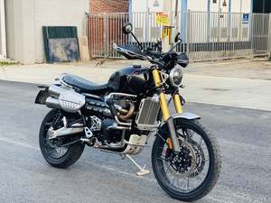 二手凯旋Scrambler 1200