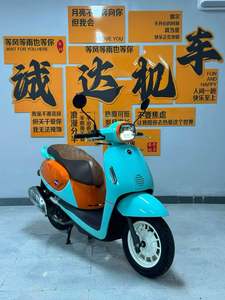 二手QJMOTOR阳光壹米