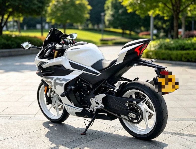 二手春风450SR